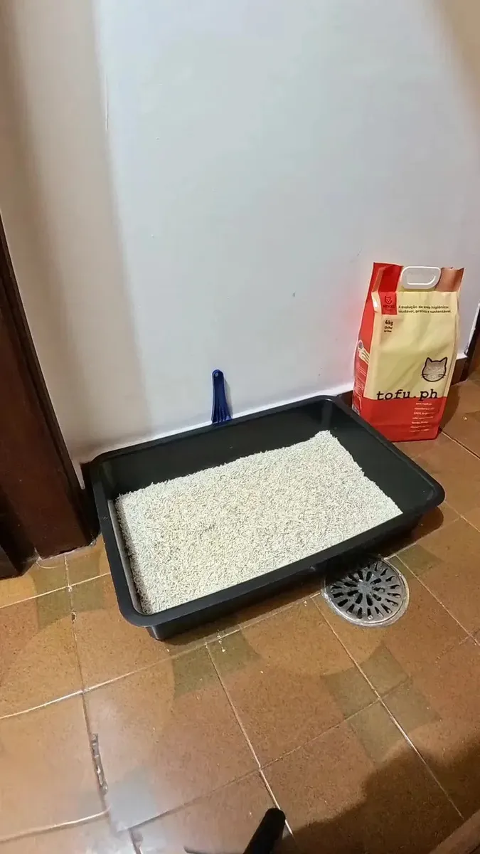Areia Higiênica Gato Tofu Biodegradável Ph 8kg Nekko — foto 4 de 7